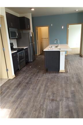 2 Bedroom 2 bath at brand new building - Madison Beautiful 2 bedroom and 2 bath apartment available in Atwood neighborhood