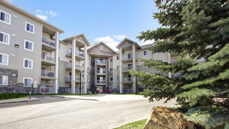 Somerset Apartments For Rent Calgary Somerset Apartments For Rent Calgary