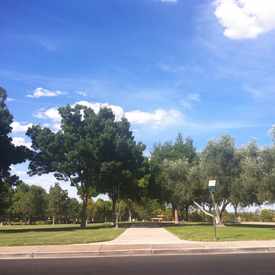 Photo of Bike Trail