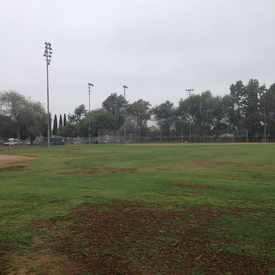 Photo of Memorial Park