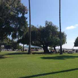 Photo of Mission Bay Park