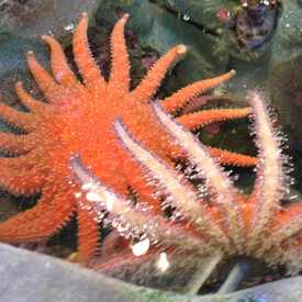 Photo of Port Townsend Science Museum