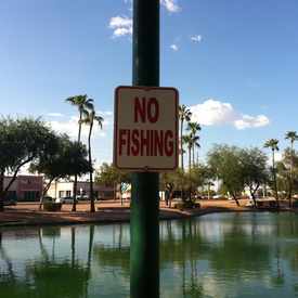 Photo of Pond