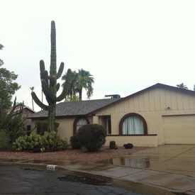 Photo of Saguaro Cactus