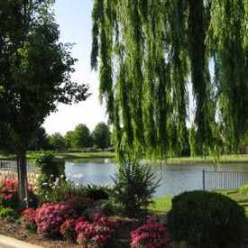 Photo of Quail Lake