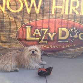 Photo of Lazy Dog Restaurant & Bar