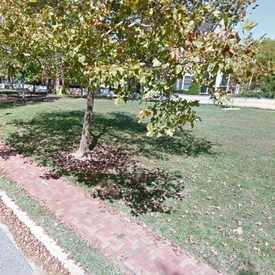 Photo of Beckwith Street Park