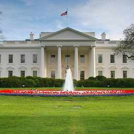 Photo of White House