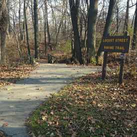 Photo of Locust Street Ravine Trail