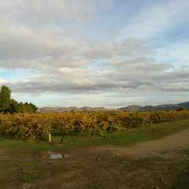 Photo of Retzlaff Vineyards