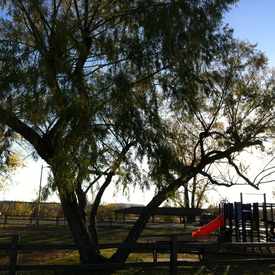 Photo of River City Parks
