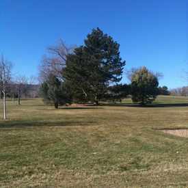 Photo of Fort Collins City Park