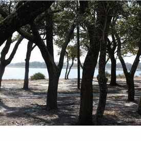 Photo of Navy Point Boat Ramp and Park