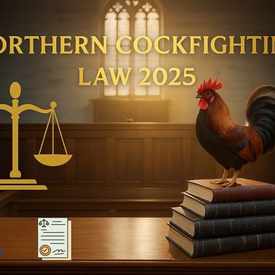 Photo of Northern Cockfighting Law 2025: What You Need to Know – Expert Review
