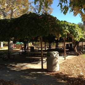 Photo of Grape Arbor Park