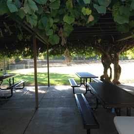 Photo of Grape Arbor Park