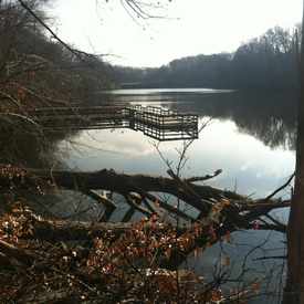 Photo of Fishing Pier