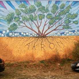 Photo of Tree
