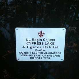 Photo of University of Louisiana at Lafayette