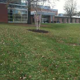 Photo of Burdick Hall