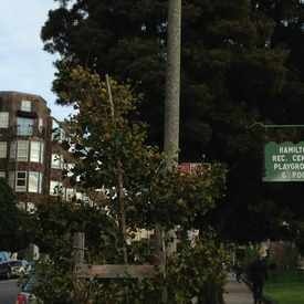 Photo of 2000 Post