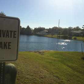 Photo of Coach Homes Community Pool