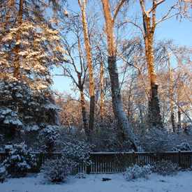 Photo of Spring Creek