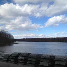Photo of Burke Lake Park