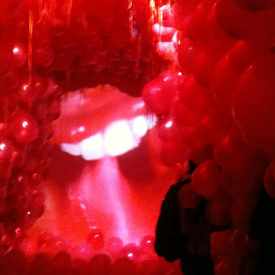 Photo of Womb Gallery