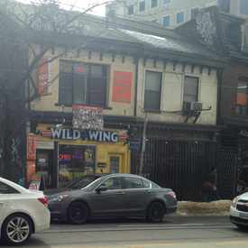 Photo of Wild Wing Queen