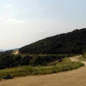 Photo of Los Angeles
