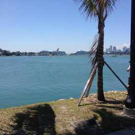 Photo of Venetian Island Apartment