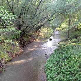 Photo of Marinwood Park