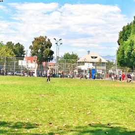 Photo of Toberman Playground