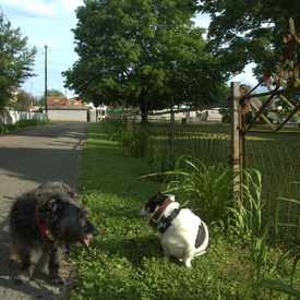Photo of Buttermilk Alley