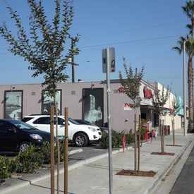 Photo of Roxanne's Cocktail Lounge & Latin Grill