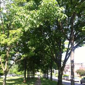Photo of Friendship Park