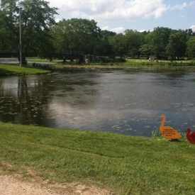 Photo of Vilas Park