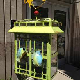 Photo of Madison Children's Museum