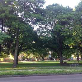 Photo of Dawson Park