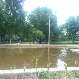 Photo of Nichols Park