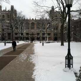 Photo of The University of Chicago