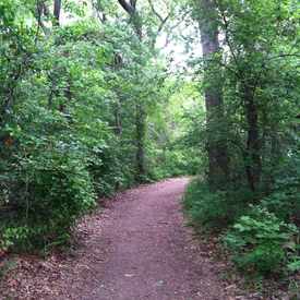 Photo of Fossil Creek Park