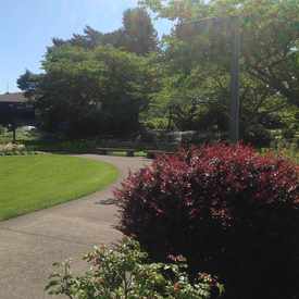 Photo of Madrona Park