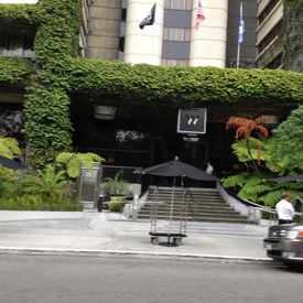 Photo of W HOTEL