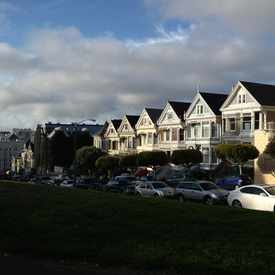 Photo of Painted Ladies