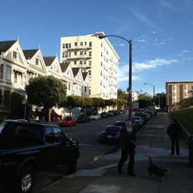 Photo of Painted Ladies