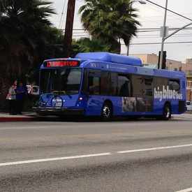 Photo of Big Blue Bus - Palms