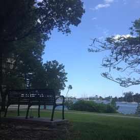 Photo of Bench In Biscayne Island Park