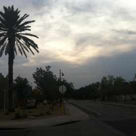 Photo of View